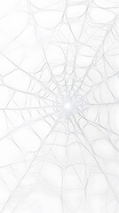 Obraz premium White Spider Web, Abstract Image, Texture, Pattern Background, Wallpaper, Smartphone Cover and Screen, Cell Phone, Computer, Laptop, 9:16 and 16:9 Format