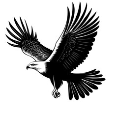Obraz premium Black and white illustration of a bald eagle with wings spread wide.