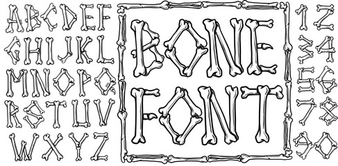 Hand drawn Bones Alphabet and Numbers Vector Illustrations with frame bone decoration