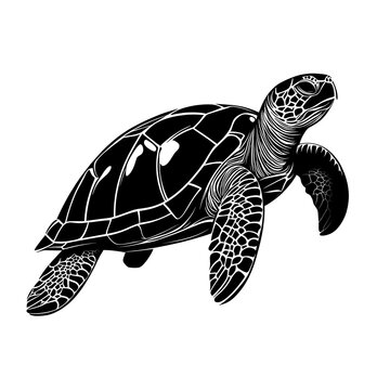 recommend clip art: Black and white line art illustration of a sea turtle.