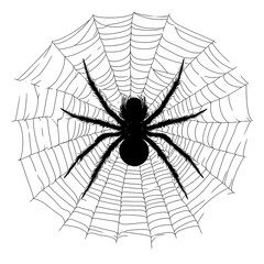 Obraz premium Black spider silhouette on a web
