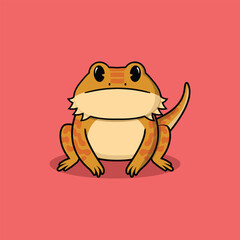 bearded dragon