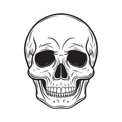 Vintage style skull illustration