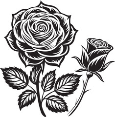 rose vector art illustration with a white background