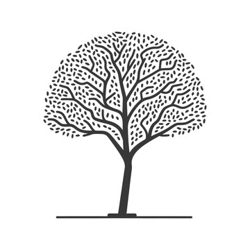 recommend clip art: Black and White Illustration of a Tree with a Rounded Canopy and Scattered Leaves