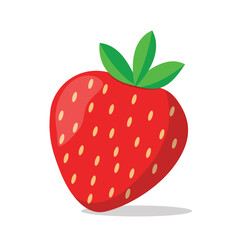 strawberry vector illustration on white