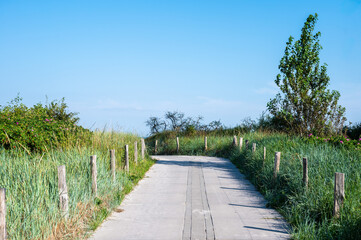 Countryroad through the dunes in Neustadt in Holstein, Germany