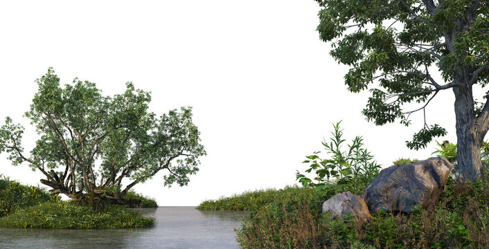 3D render foreground swamp with large plants and trees on transparent background