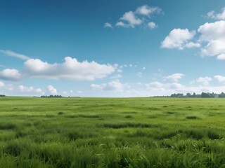 Big Field Of Green Grass With Cloudy Blue Sky - Generative Ai