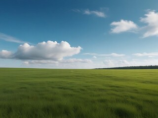 Obraz premium Big Field Of Green Grass With Cloudy Blue Sky - Generative Ai