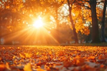 Fototapeta premium Autumnal Landscape with Sunbeams in the Park