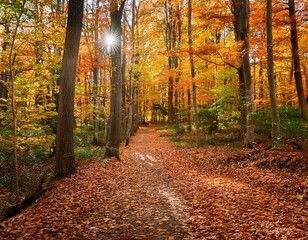 Obraz premium Enchanting Autumn Forest Pathway Carpeted with Vibrant Fall Foliage