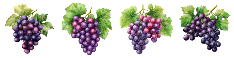Fototapeta premium Vibrant cluster of grapes with lush green leaves, perfect for illustrating freshness and natural beauty in culinary or health contexts.
