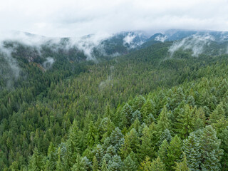 Low clouds drift across the vast national forest surrounding Mount Hood, Oregon. The entire Pacific Northwest is known for its moist, temperate climate and beautiful, mountainous landscapes.
