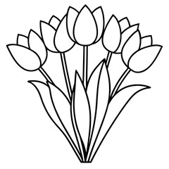 Tulip Bouquet Vector on White Background