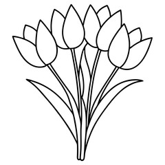 Tulip Bouquet Vector on White Background