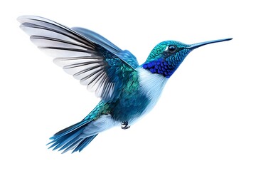 Obraz premium Bee Hummingbird Flying, on White Background, Realistic Photo, Standard Background, Wallpaper, Cover and Screen of Smartphone, Cell Phone, Computer, Laptop, 9:16 and 16:9 Format