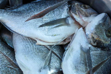 Cleaned raw fishes prepared for cooking.