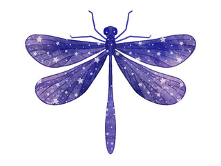 colorful dragonfly watercolor drawing on white background with stars on the wings