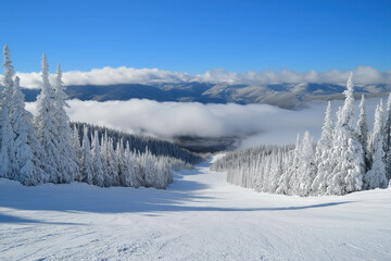 Ski In Whitefish, Montana