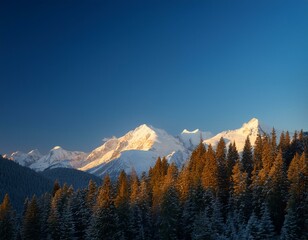 Majestic Snow Capped Mountain Landscape with Pristine Pine Forest at Dawn