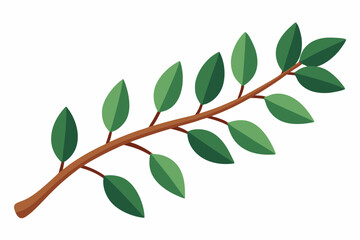 Large Horizontal Brown Branch with Green Eucalyptus Leaves on White Background