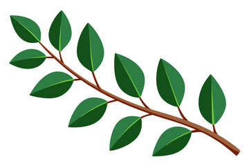 Large Horizontal Brown Branch with Green Eucalyptus Leaves on White Background