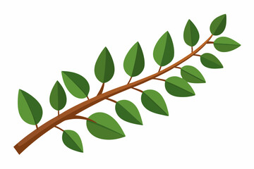 Large Horizontal Brown Branch with Green Eucalyptus Leaves on White Background