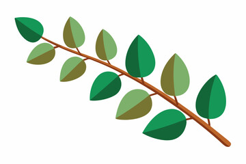 Large Horizontal Brown Branch with Green Eucalyptus Leaves on White Background
