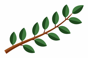 Large Horizontal Brown Branch with Green Eucalyptus Leaves on White Background