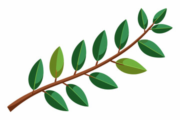Large Horizontal Brown Branch with Green Eucalyptus Leaves on White Background