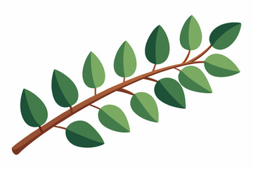 Large Horizontal Brown Branch with Green Eucalyptus Leaves on White Background