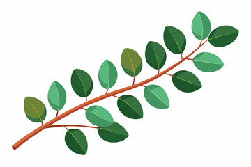 Large Horizontal Brown Branch with Green Eucalyptus Leaves on White Background