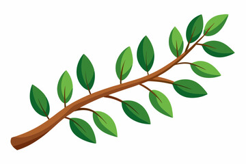 Large Horizontal Brown Branch with Green Eucalyptus Leaves on White Background