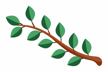 Large Horizontal Brown Branch with Green Eucalyptus Leaves on White Background