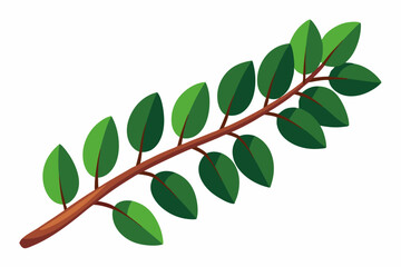Large Horizontal Brown Branch with Green Eucalyptus Leaves on White Background