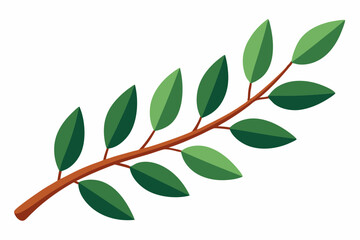 Large Horizontal Brown Branch with Green Eucalyptus Leaves on White Background