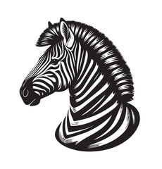 zebra vector illustration