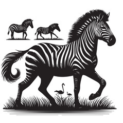 zebra vector illustration