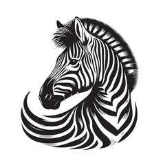 zebra vector illustration