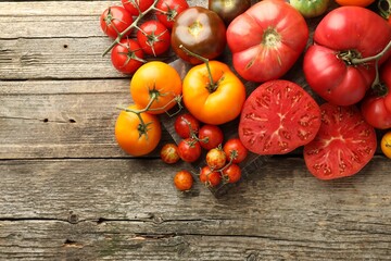 Different ripe tomatoes on wooden table, top view. Space for text