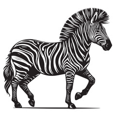 zebra vector illustration