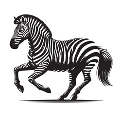 zebra vector illustration