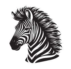 zebra vector illustration