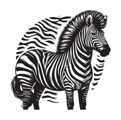 zebra vector illustration