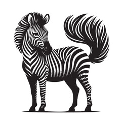 zebra vector illustration