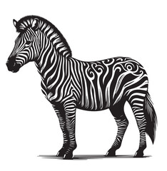 Fototapeta premium zebra vector illustration