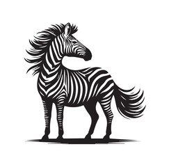 zebra vector illustration