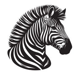 Fototapeta premium zebra vector illustration