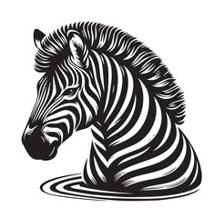 zebra vector illustration